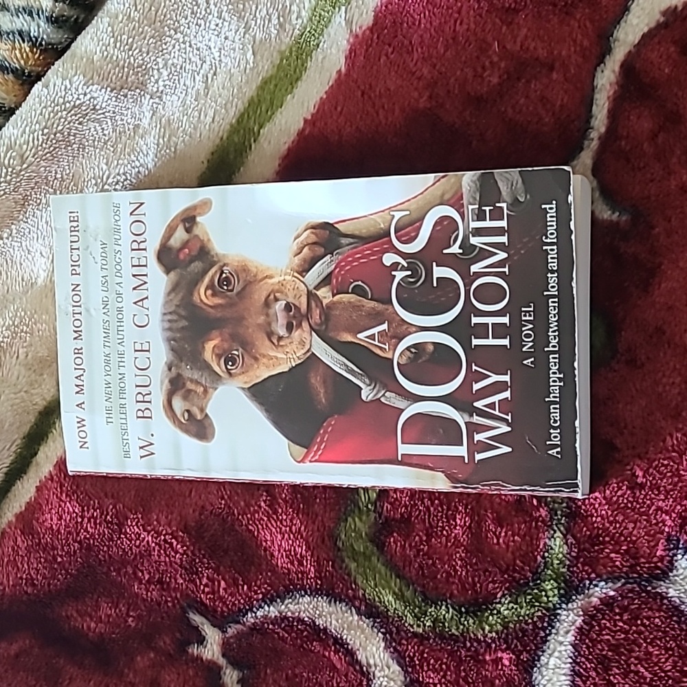 A dogs way home book